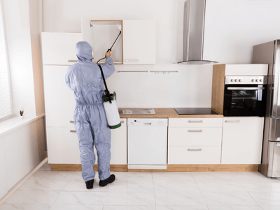 About Jacksonville Exterminator - pest control services experts in Jacksonville