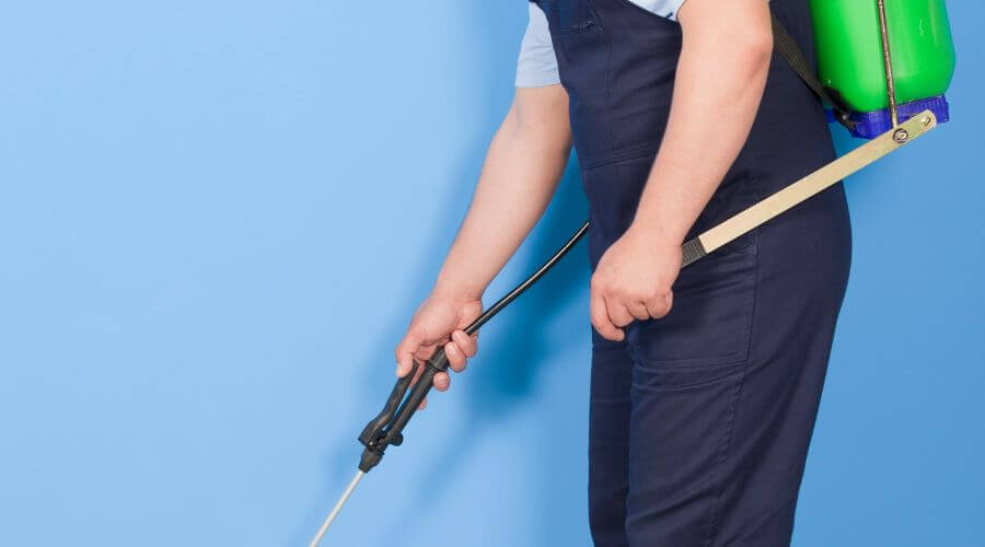 Why choose Jacksonville Exterminator for pest control services in Jacksonville